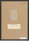 Amphora wittsteinii Jan. (de-Toni-Nr.: Genus 36, Species 1604) Zeichnungen Sammlung Grunow Nr. 3081 (NHMW-BOT-W0370488)